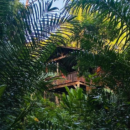 Pousada Anjali Velha Boipeba Exteriér fotografie
