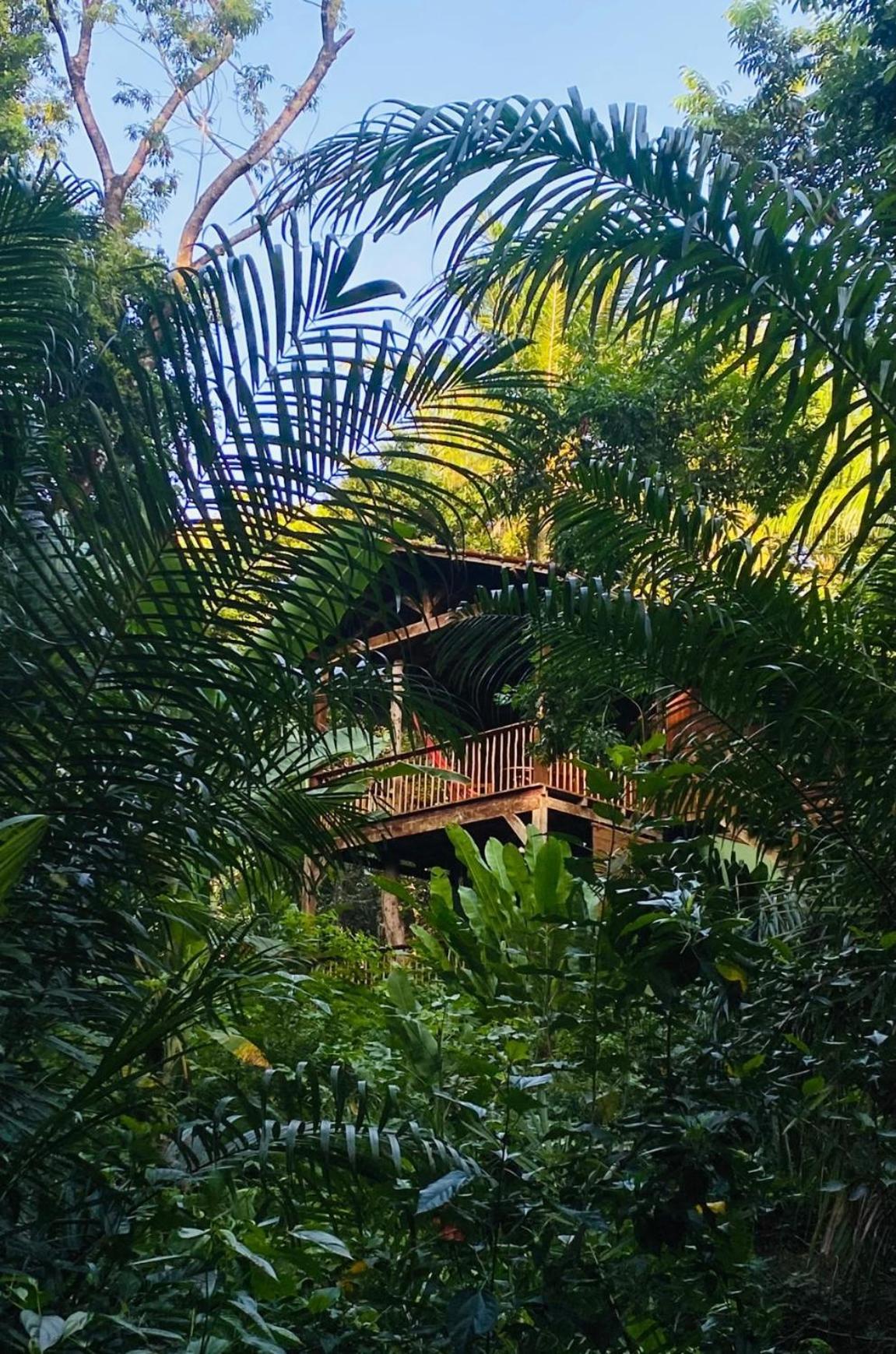 Pousada Anjali Velha Boipeba Exteriér fotografie